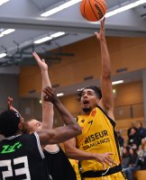 Basketball 1. Regionalliga 22/23 SV 03 Tigers Tuebingen - Saarlouis Royals Basketball