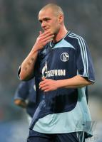 Fussball, Champions League: Schalke, PANDER