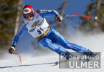 SKI   Weltcup Abfahrt Mnner Paul Accola (SUI)