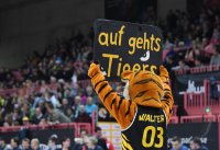 Barmer 2. Basketball Bundesliga  18/19: Tigers Tuebingen - Team Ehingen Urspring