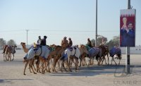 Kamelrennen Katar / FUSSBALL International Ausrichter der FIFA WM 2022: KATAR