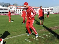 Fussball 1. Bundesliga: Mario Gomez (FC Bayern Muenchen)