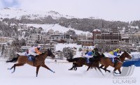 Pferdesport:  White Turf  St. Moritz 2014  Flachrennen