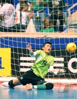 Fussball International FIFA FUTSAL WM 2008