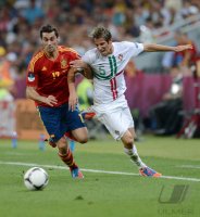 Fussball International Europameisterschaft 2012, Halbfinale: Portugal - Spanien