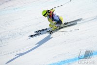 Ski Alpin  Herren  Abfahrt  Kitzbuehel 2013; Kjetil Jansrud (NOR)