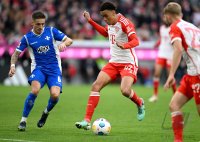 Fussball 1. Bundesliga 23/24: FC Bayern Muenchen - SV Darmstadt 98