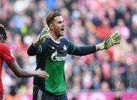 Fussball 1. Bundesliga Saison 15/16: FC Bayern Muenchen -  FC Schalke 04