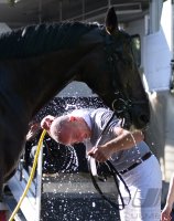 Reitenturnier Pulvermuehle Dusslingen 2016