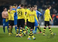 Fussball  1. Bundesliga  13/14: Enttaeuschung Borussia Dortmund