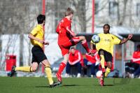 Fussball B - Junioren Bundesliga:  Bayern Muenchen - TuS Ergenzingen