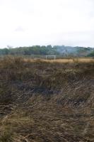 FUSSBALL: FEATURE BRANDRODUNG EINES FUSSBALLPLATZES