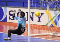 Fussball International FIFA FUTSAL WM 2008