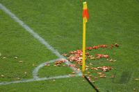 Fussball WM 2006: Serbien-Montenegro - Holland