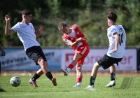 Fussball U 17 DFB Nachwuchsliga 2025/2026
SSV Ulm - FC Bayern Muenchen