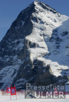 Ski Alpin;  Abfahrt Herren  Wengen   Eiger