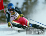 SKI   Weltcup  Abfahrt Herren ; Kjetil Andre Aamodt (NOR)