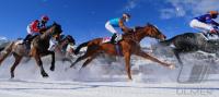 White Turf  St. Moritz 2010