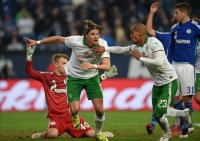 Fussball, 1. Bundesliga  Saison 2014/2015: FC Schalke 04 - SV Werder Bremen: Proedl erzielt das 1:1
