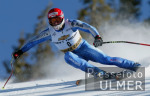 SKI   Weltcup Abfahrt Mnner Franco Cavegn (SUI)