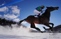 White Turf  St. Moritz 2010