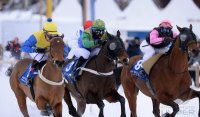 Pferdesport:  White Turf  St. Moritz 2014  Flachrennen