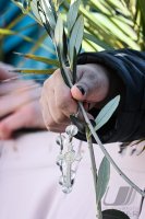 Palmsonntag auf dem Petersplatz