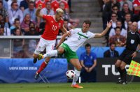 Fussball Europameisterschaft Achtelfinale 2016: Wales - Nordirland
