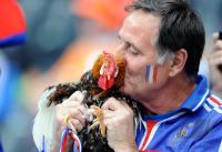 FUSSBALL EURO 2008: Niederlande - Frankreich