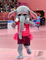 Handball EHF Pokal Frauen 15/16: TuS Metzingen - HC Leipzig