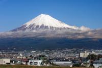 Fussball International FIFA Club WM Adelaide United - Gamba Osaka