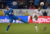 Fussball  1. Bundesliga  13/14: TSG 1899 Hoffenheim - SV Werder Bremen