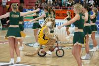 Bsaketball 1. Bundesliga  Walter Tigers Tuebingen -  TBB Trier