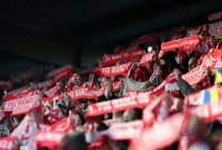 1. Fussball Bundesliga: MAINZ Fans mit Schal