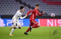 Fussball International CHL 20/21: FC Bayern Muenchen - Lokomotive Moskau