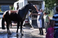 Reitenturnier Pulvermuehle Dusslingen  2016