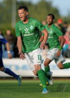 Fussball 1. Bundesliga 2011/2012:  Markus Rosenberg (SV Werder Bremen)