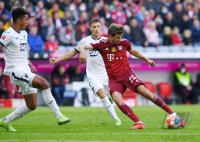 Fussball 1. Bundesliga Saison 21/22: FC Bayern Muenchen -  TSG 1899 Hoffenheim