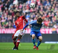 Fussball 1. Bundesliga Saison 2016/2017: FC Bayern Muenchen - Hamburger SV