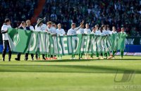 Fussball, 1. Bundesliga  Saison 2013/2014: SV Werder Bremen - Hertha BSC Berlin