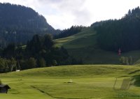 Ski Alpin  Herren  Abfahrt  Kitzbuehel