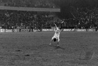 Fussball International: Champions League, Saison 1993/1994: Werder Bremen - RSC Anderlecht