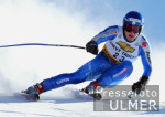SKI   Weltcup  Abfahrt Herren ; Ambrosi Hoffmann (SUI)