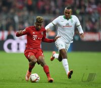 Fussball 1. Bundesliga Saison 15/16: FC Bayern Muenchen -  SV Werder Bemen