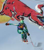 Ski Alpin  Herren  Abfahrt  Kitzbuehel 2009