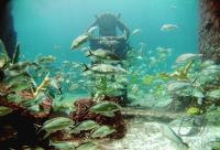 Fussball 59. FIFA Kongress 2009