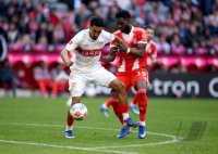 Fussball 1. Bundesliga  Saison  2025/2026  30. Spieltag FC Bayern Muenchen -  VfB Stuttgart