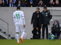 Fussball  1. Bundesliga  13/14: TSG 1899 Hoffenheim - SV Werder Bremen