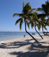 FUSSBALL 63. FIFA  Kongress auf Mauritius 2013: Strand mit Plamen