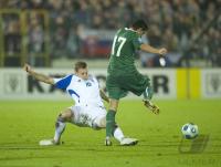 Fussball WM  2010  Qualifikation: Slowakei - Slowenien
